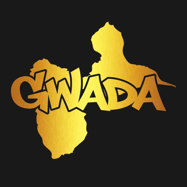 Sweat à Capuche Guadeloupe Noir et Or Métallisé – Image 2