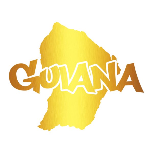 T-Shirt Guyane Blanc et Or Métallisé – Image 2