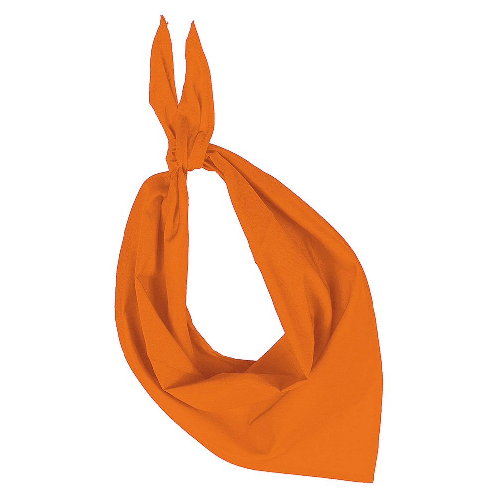 Bandana Féria Bodega Fiesta – Image 5