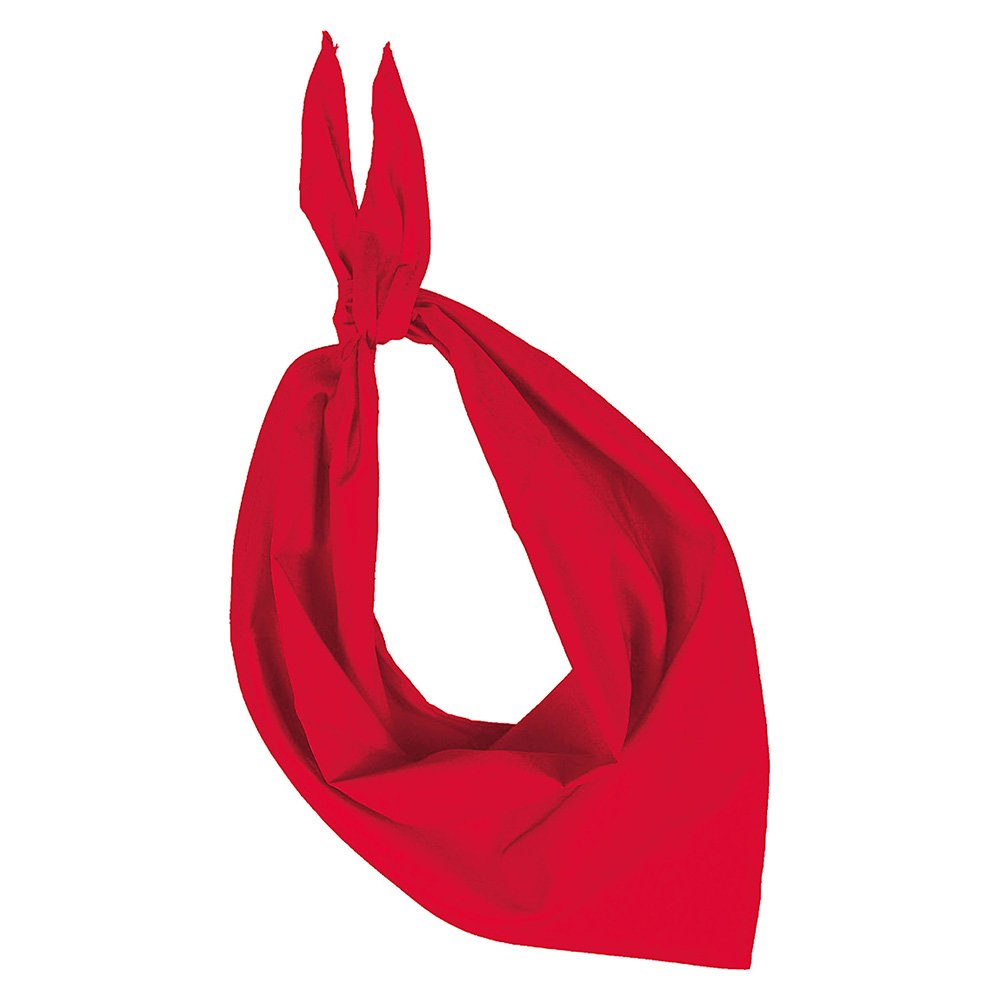Bandana Féria Bodega Fiesta – Image 6